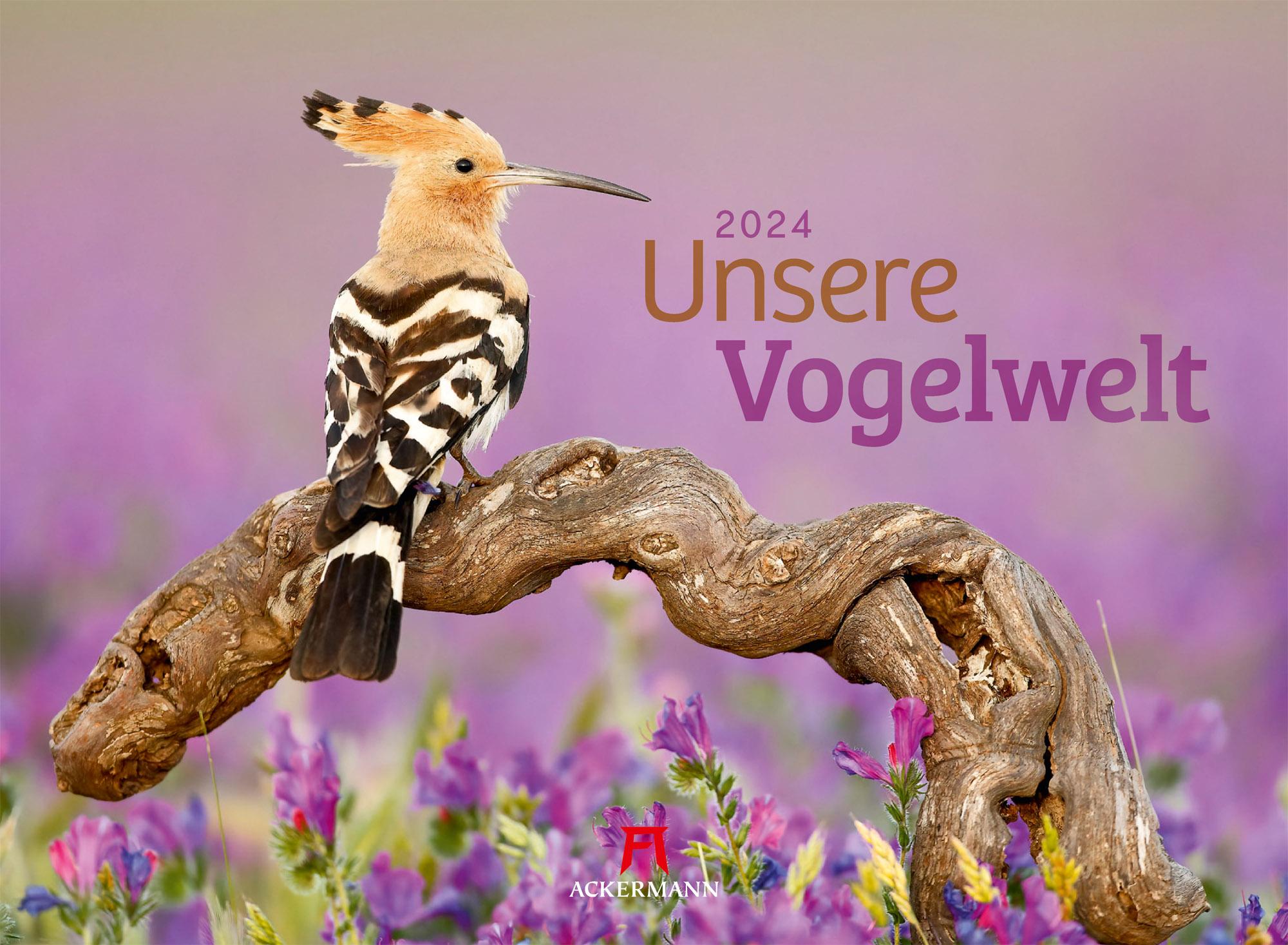 Unsere Vogelwelt Kalender 2024 Maße (B/H): 45 x 33 cm, Fotokalender