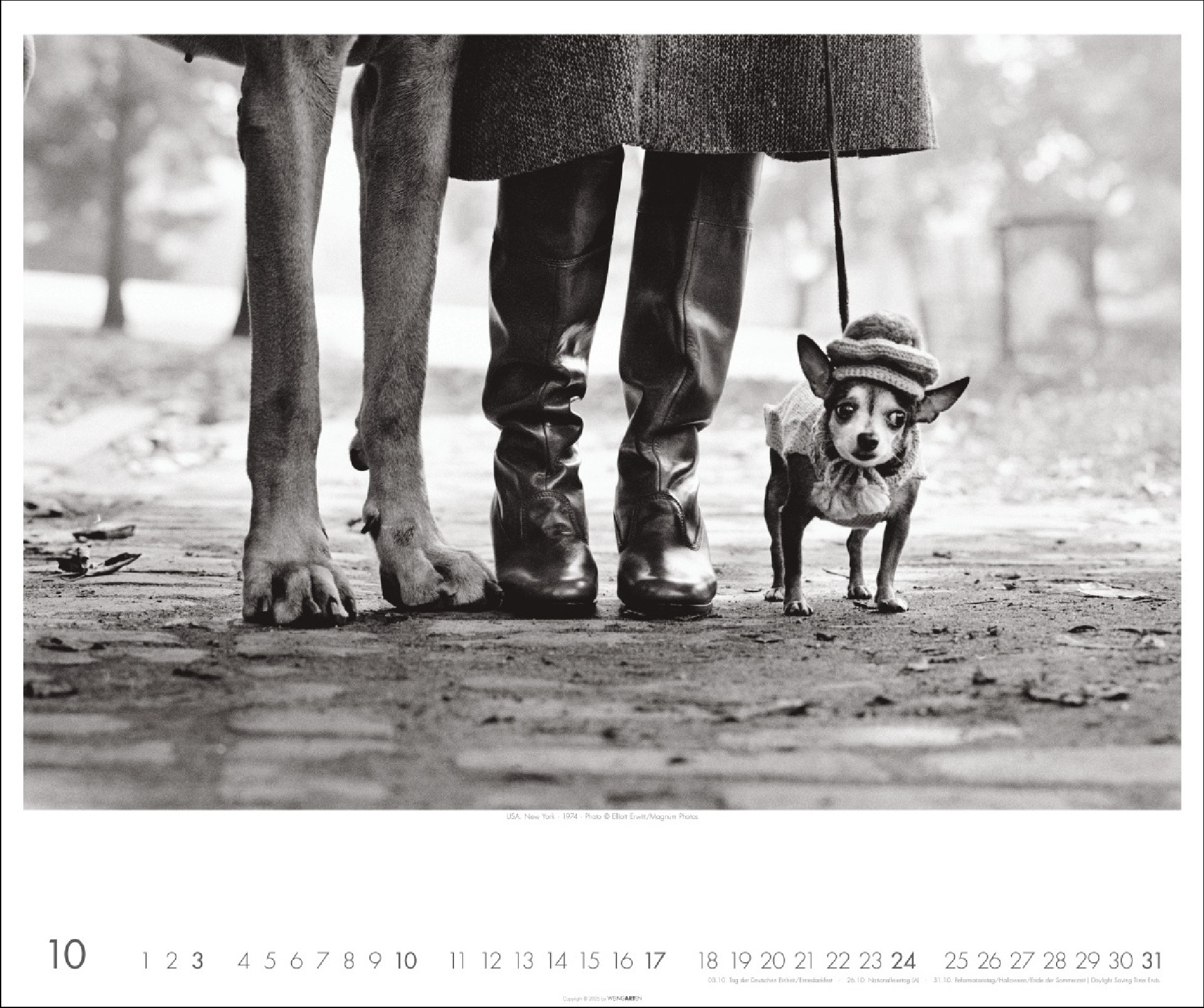 Magnum Photos - Elliott Erwitt Kalender 2027