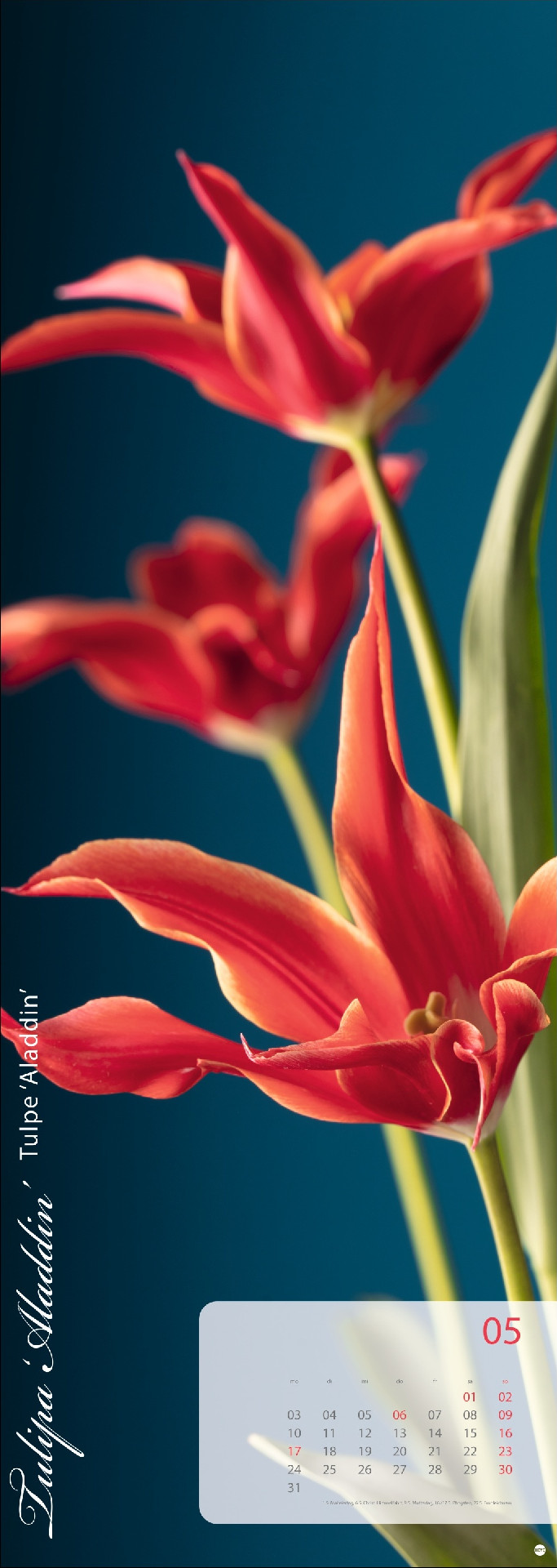 Magic Flowers Vertical Kalender 2027