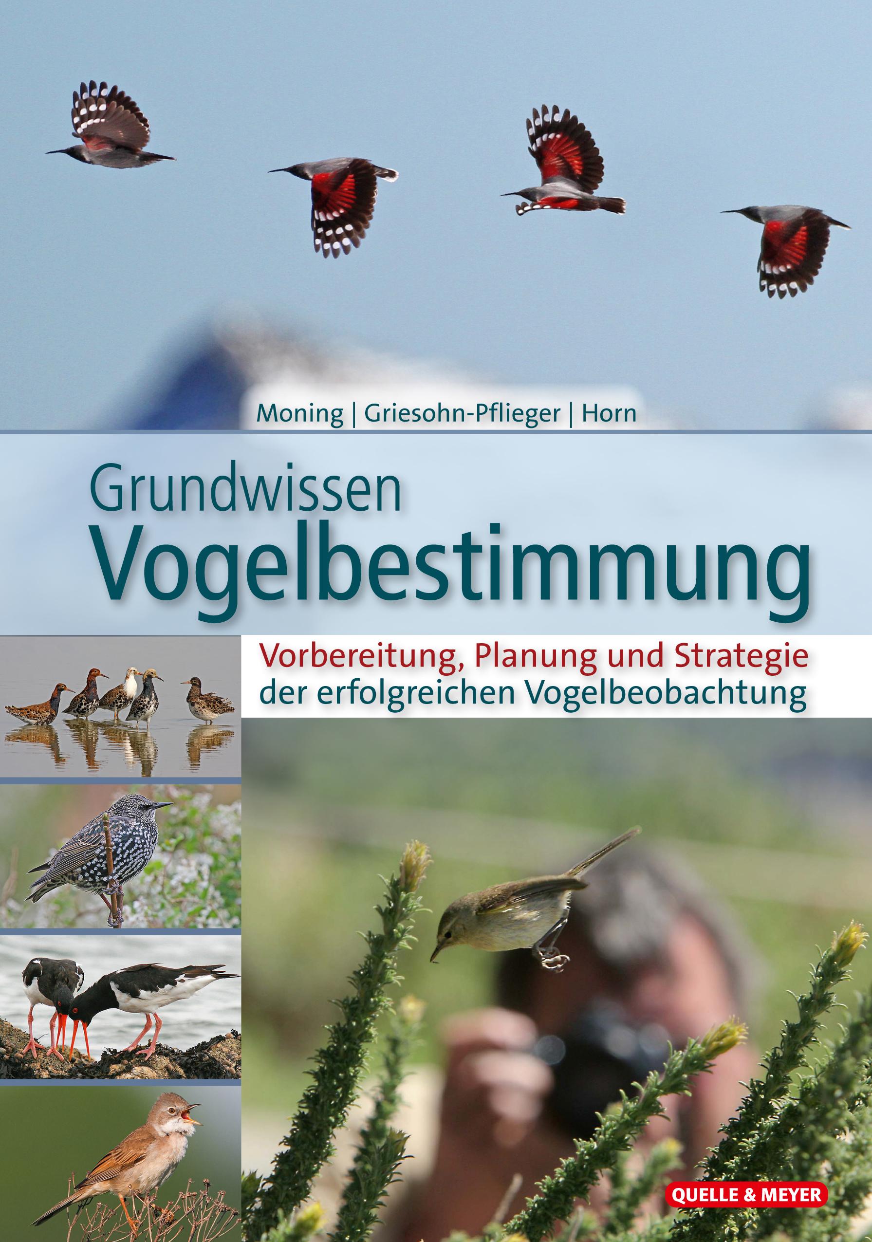 Grundwissen Vogelbestimmung Vorbereitung, Planung und Strategie der erfolgreichen Vogelbeobachtung