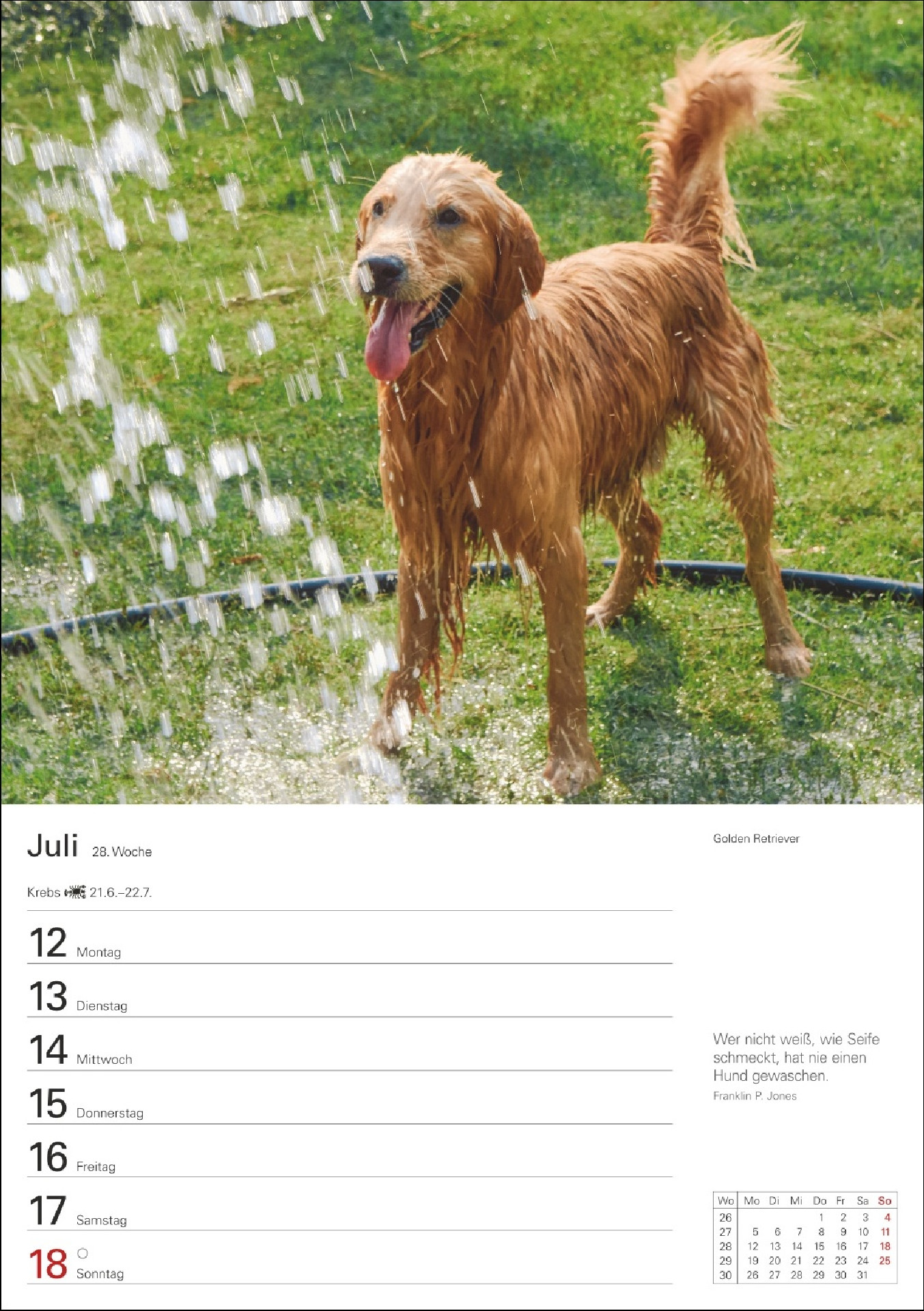 Hunde Wochenkalender 2027
