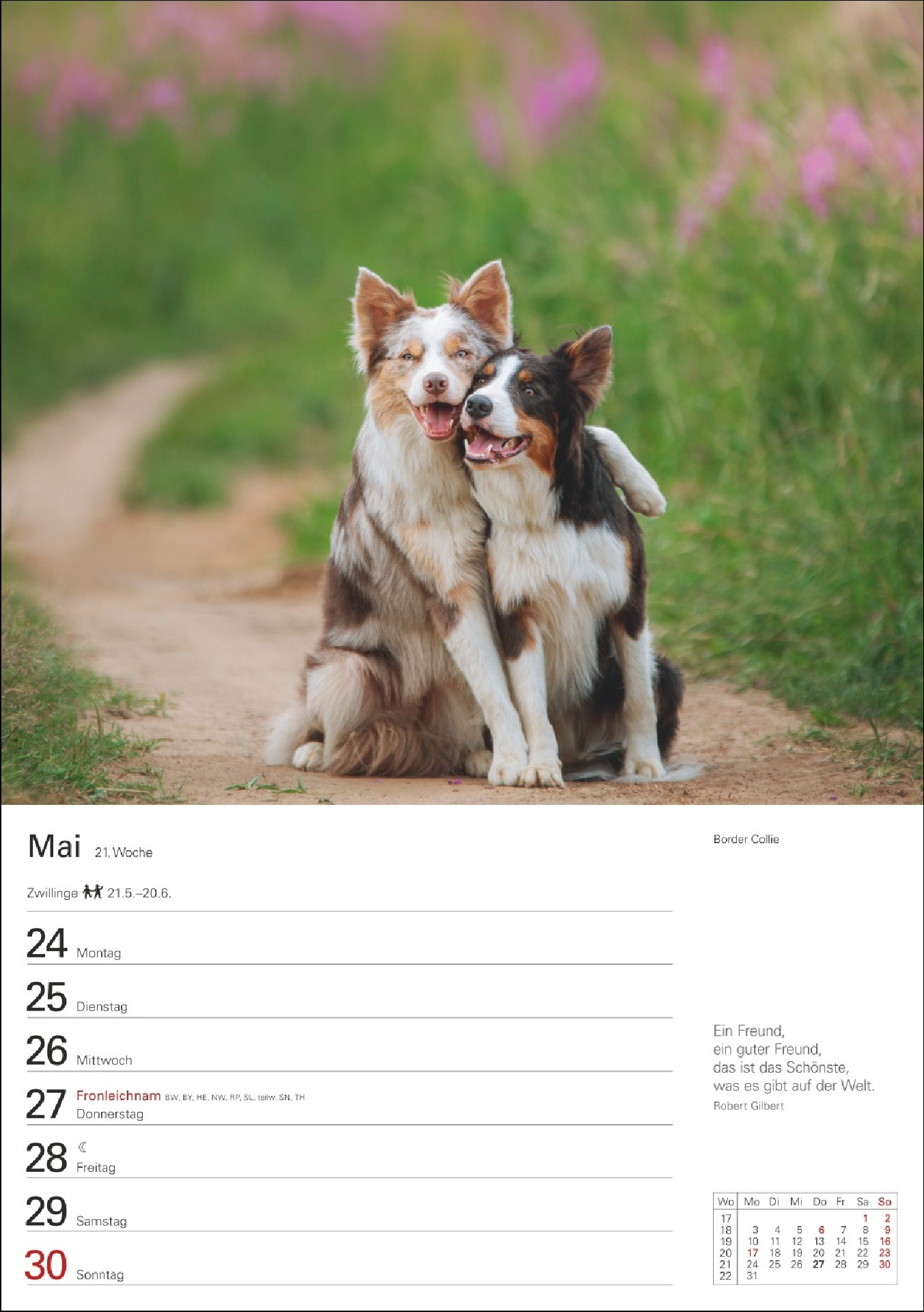Hunde Wochenkalender 2027