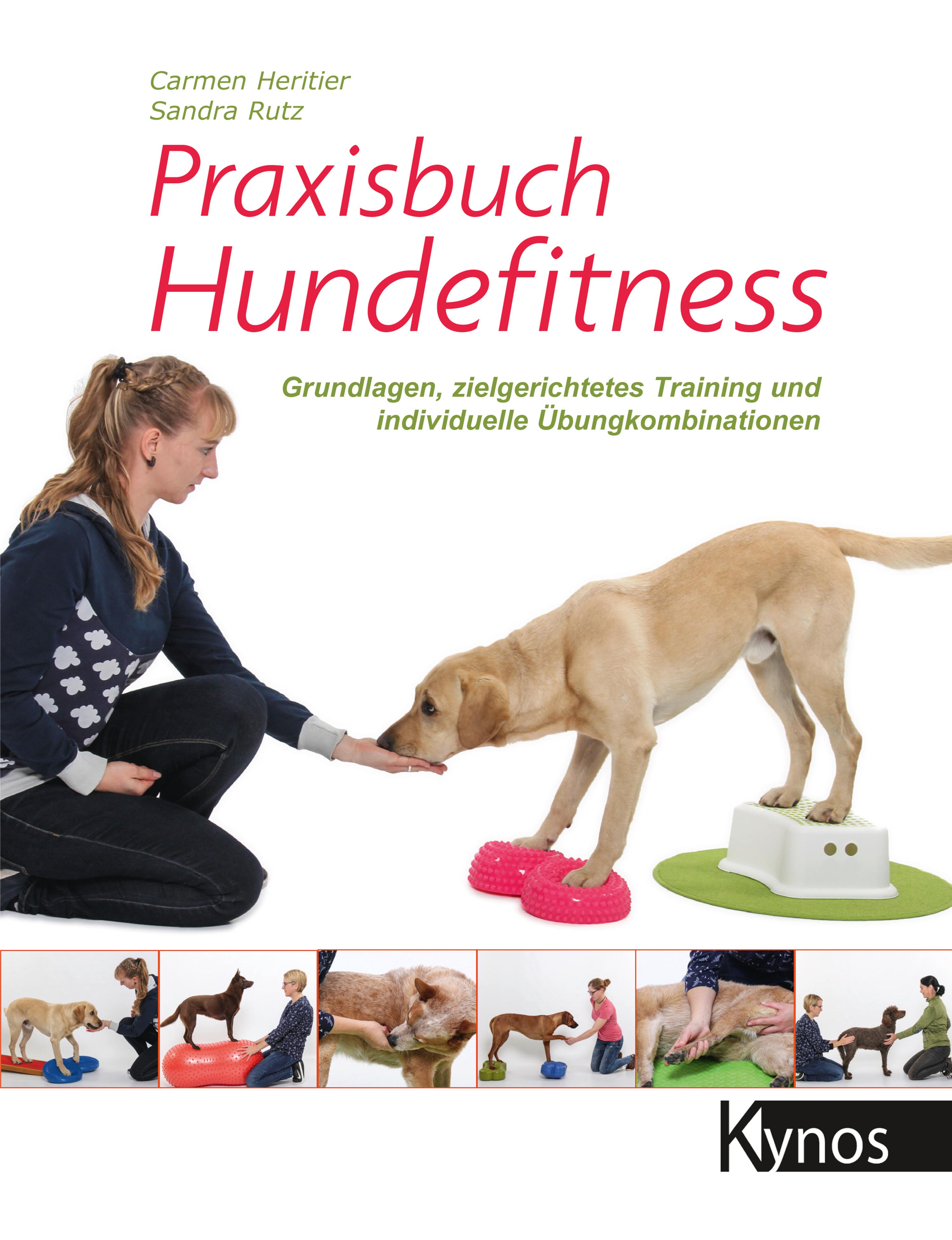 Praxisbuch Hundefitness Grundlagen, zielgerichtetes Training und individuelle Übungskombinationen