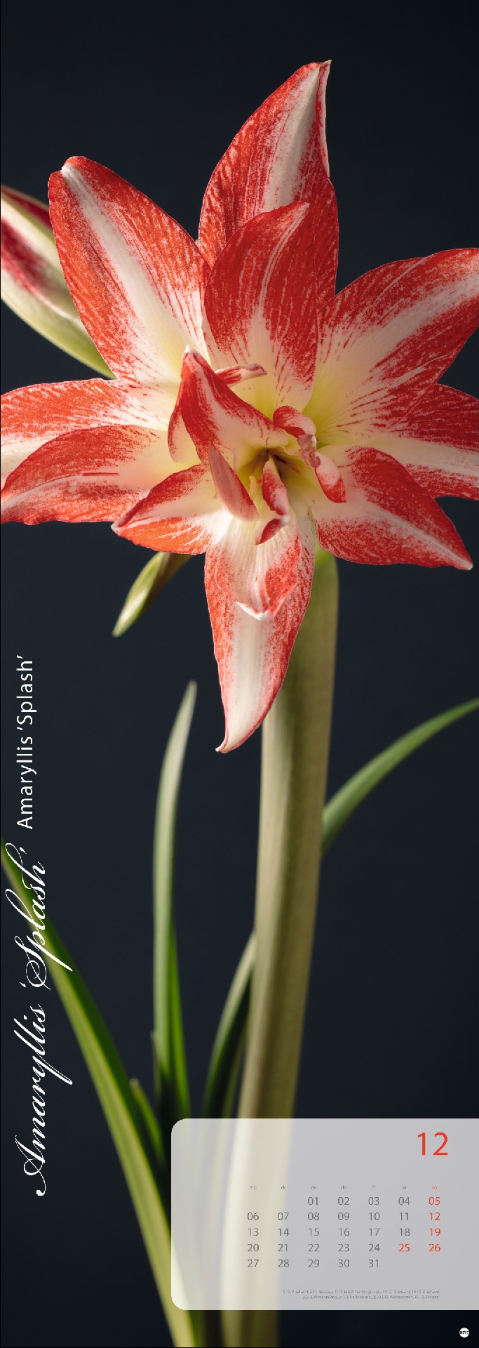 Magic Flowers Vertical Kalender 2027