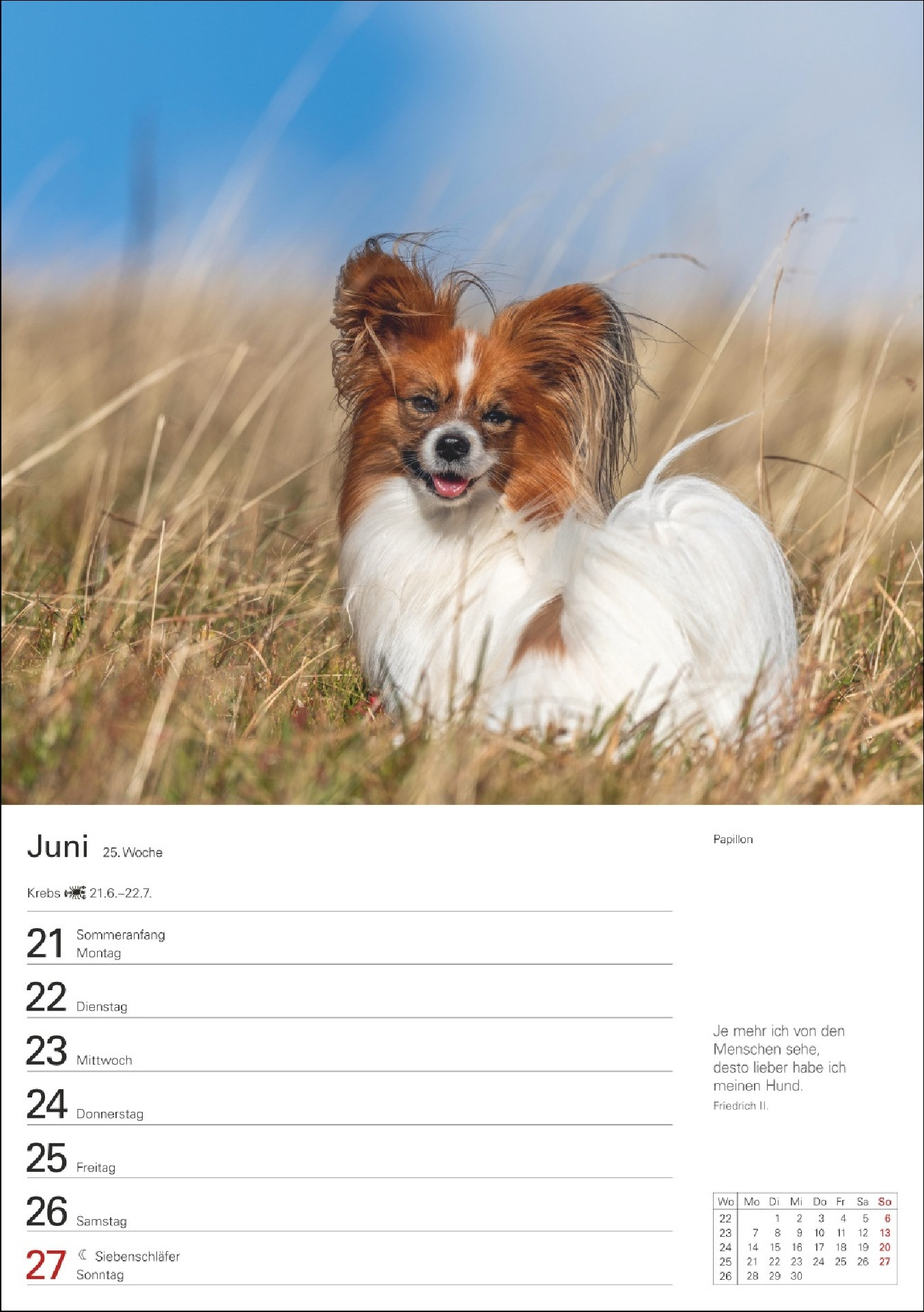 Hunde Wochenkalender 2027