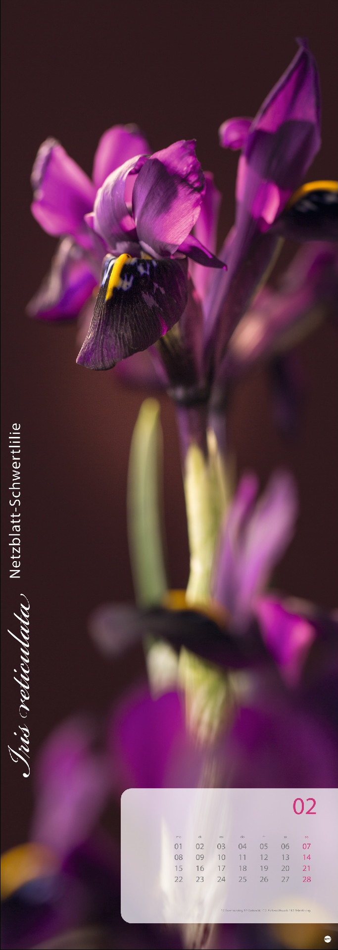 Magic Flowers Vertical Kalender 2027