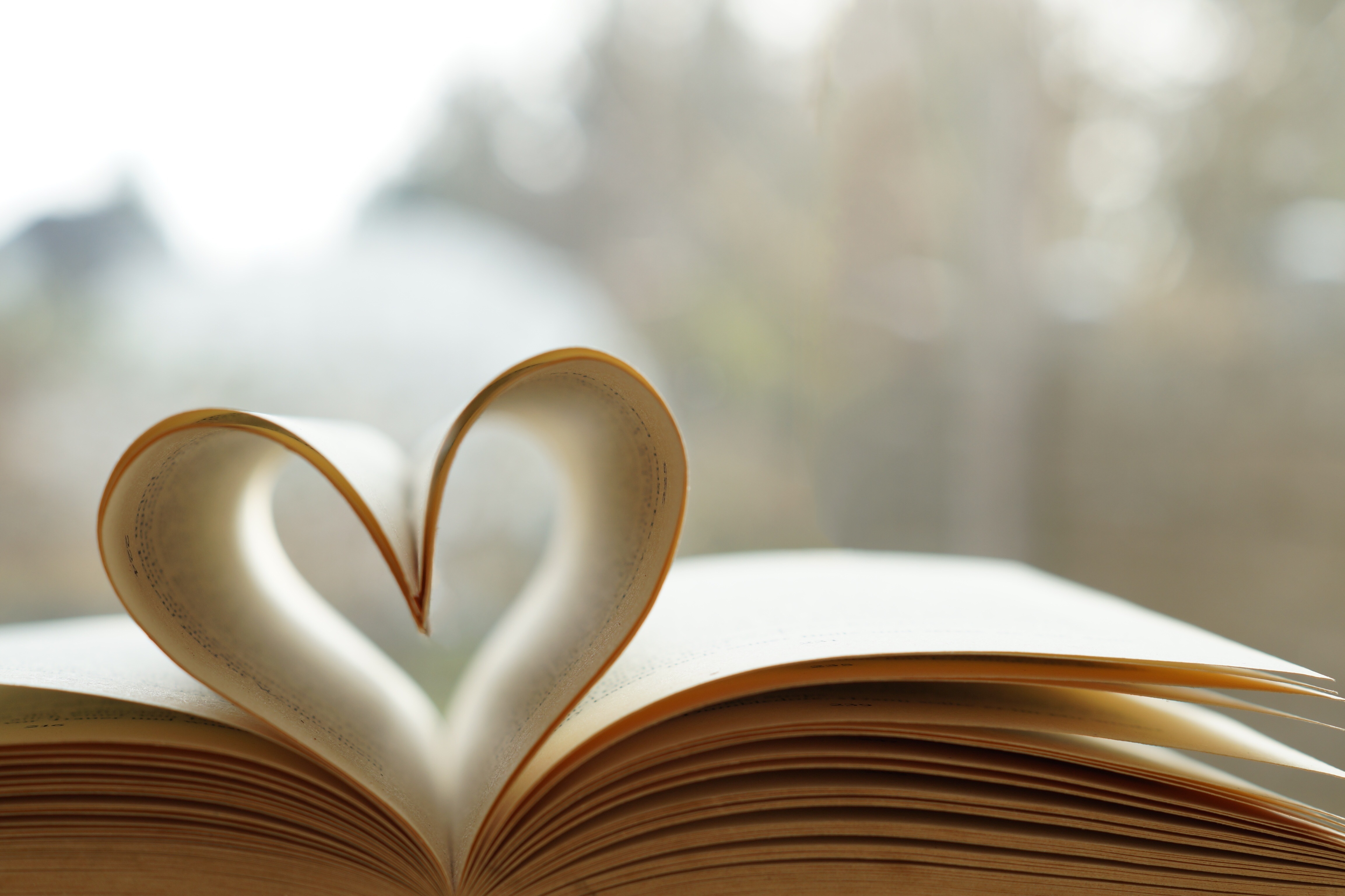 Bücher & Kalender