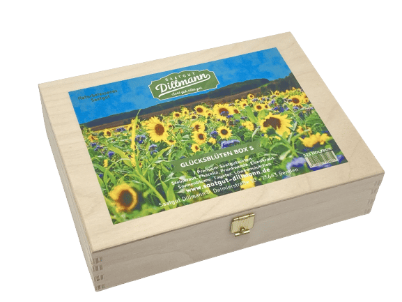 Saatgut-Box aus Holz: Glücksblüten S