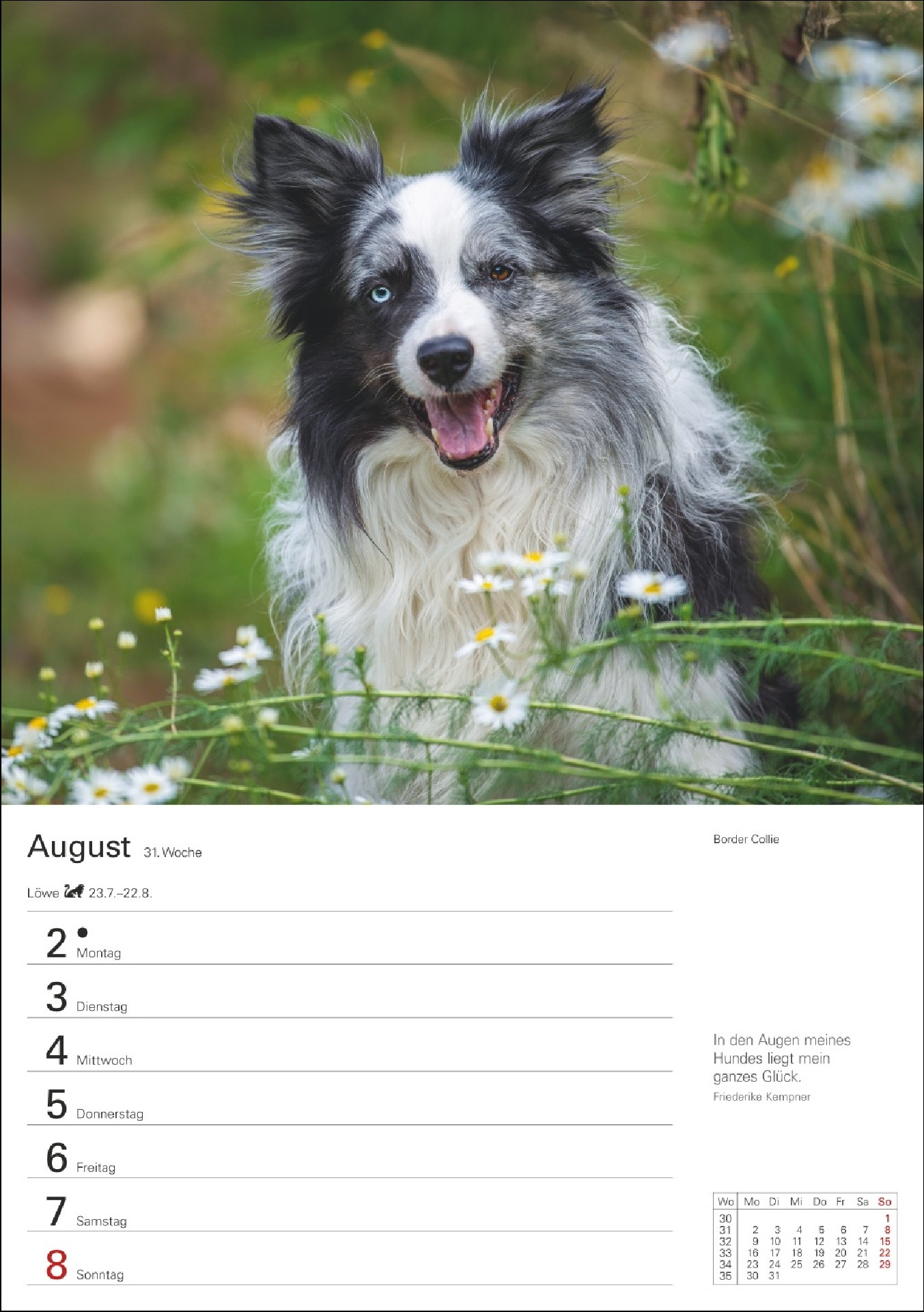 Hunde Wochenkalender 2027