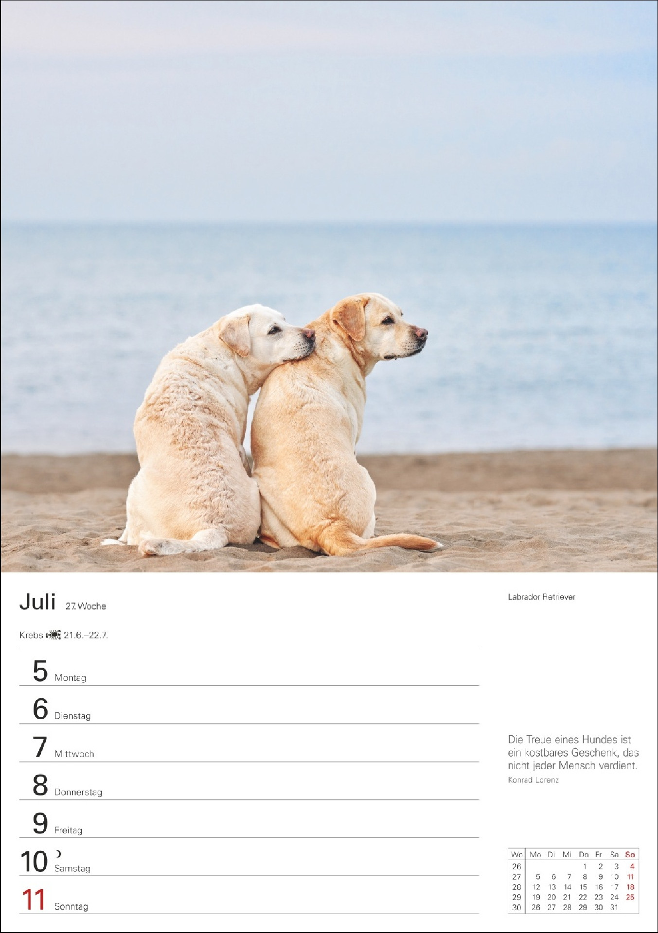 Hunde Wochenkalender 2027