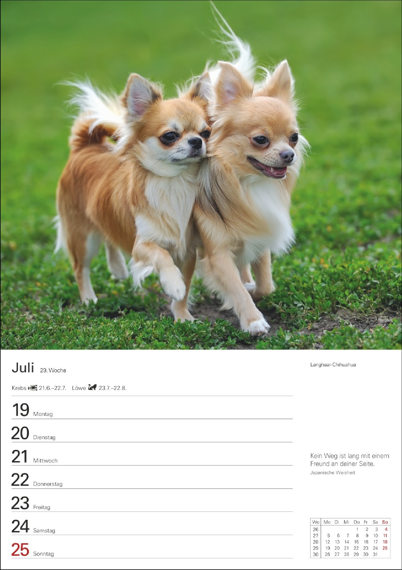 Hunde Wochenkalender 2027