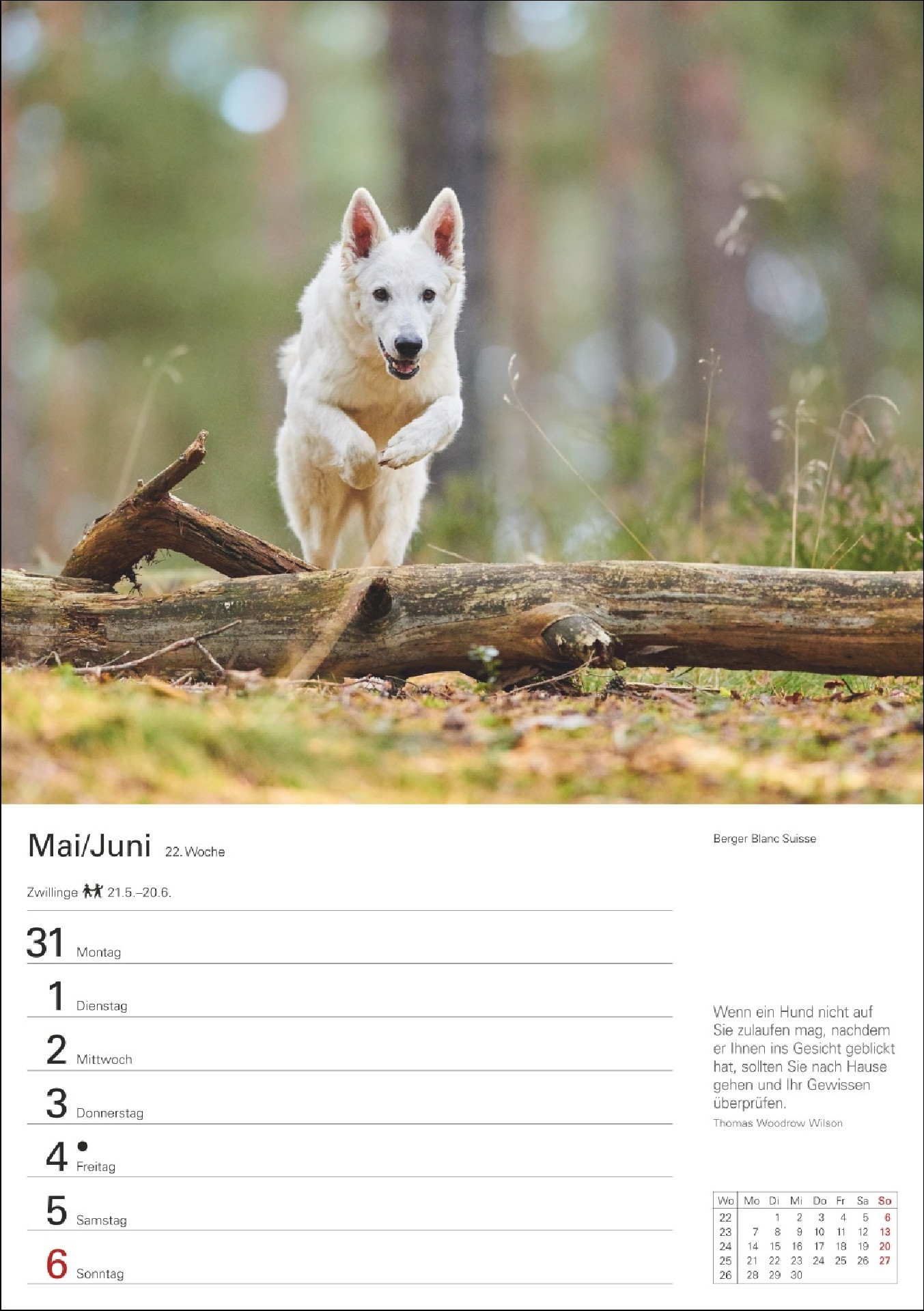 Hunde Wochenkalender 2027
