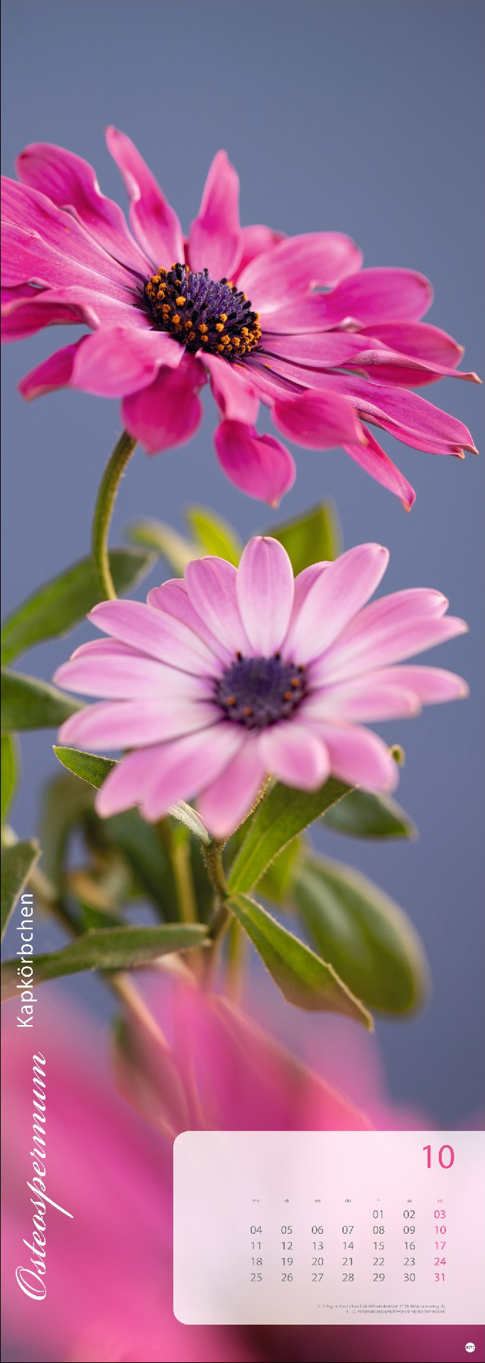 Magic Flowers Vertical Kalender 2027