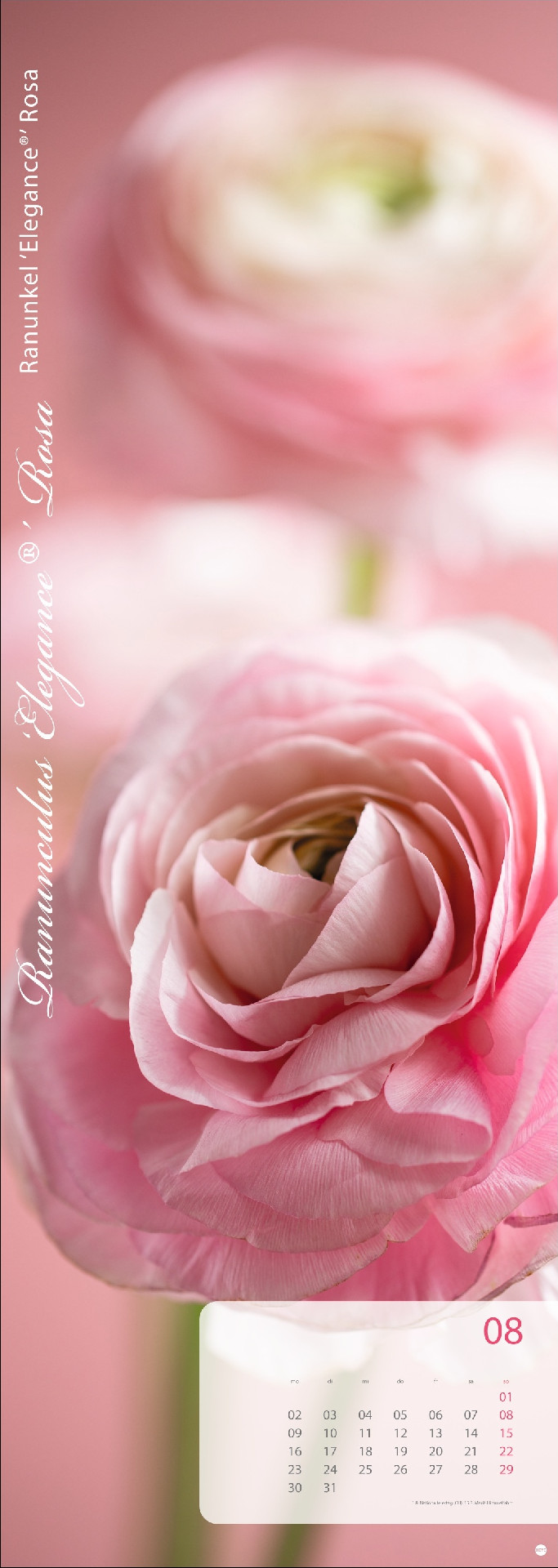 Magic Flowers Vertical Kalender 2027