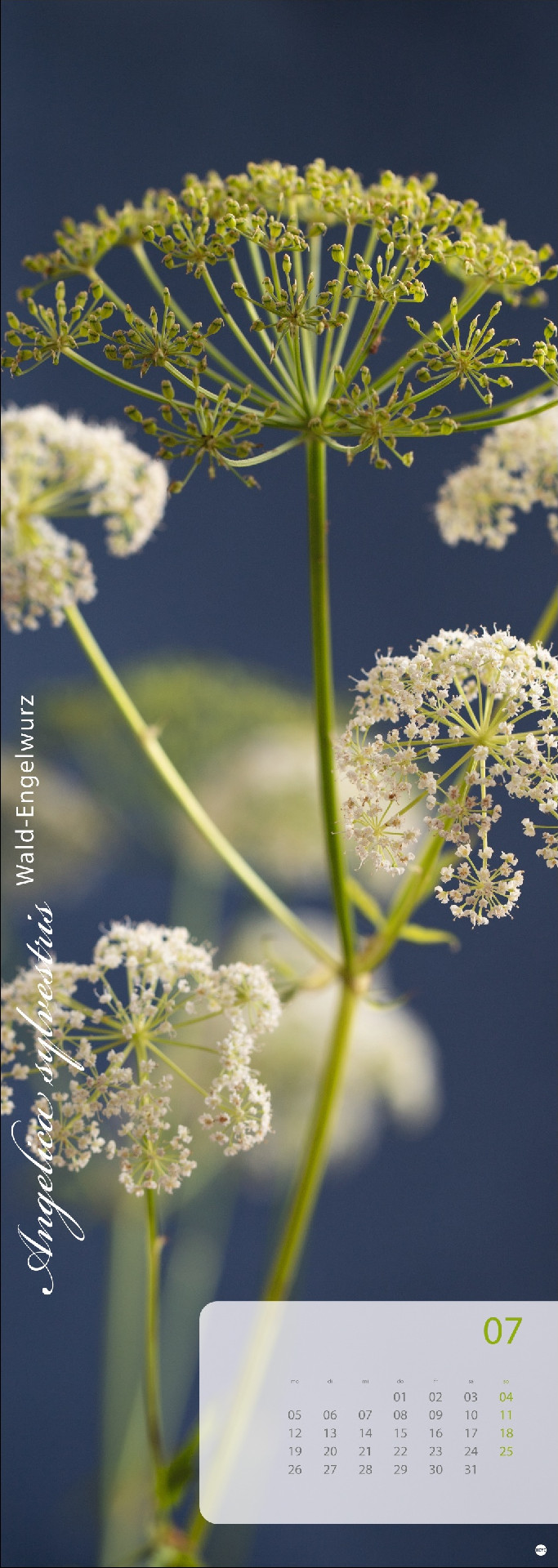 Magic Flowers Vertical Kalender 2027