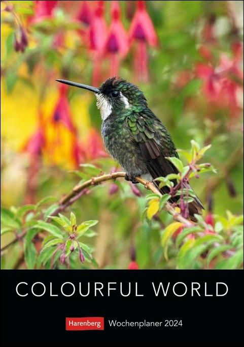 Colourful World Wochenplaner 2024. Terminkalender 2024 zum Aufhängen mit Naturfotos in leuchtenden Farben. Praktischer Wochenkalender von Harenberg Maße (B/H): 25 x 35,5 cm, Wochenplaner