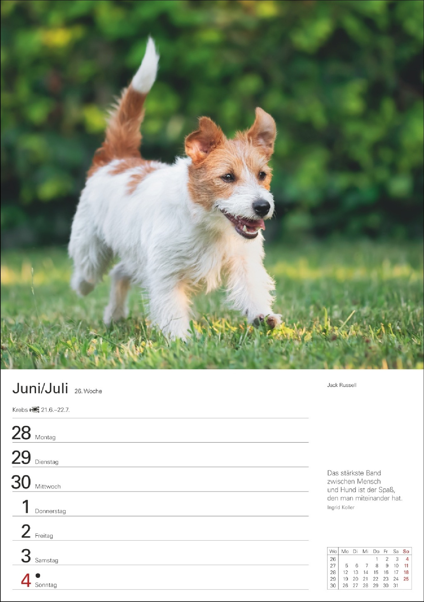 Hunde Wochenkalender 2027