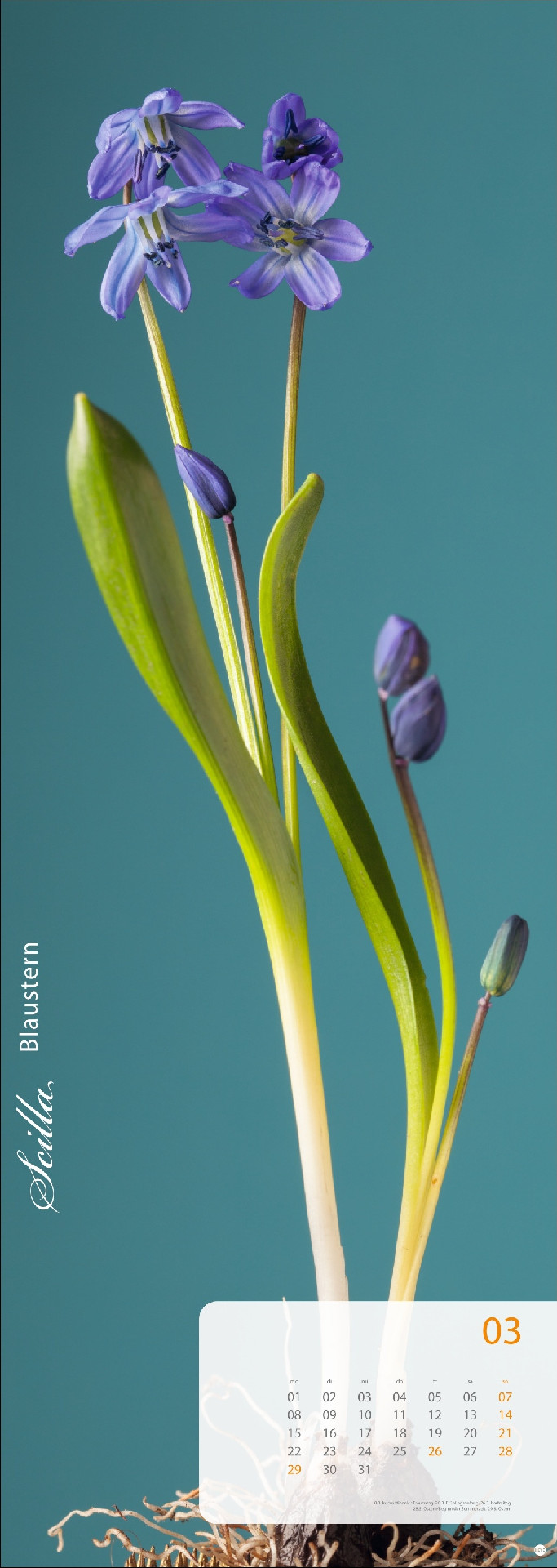 Magic Flowers Vertical Kalender 2027