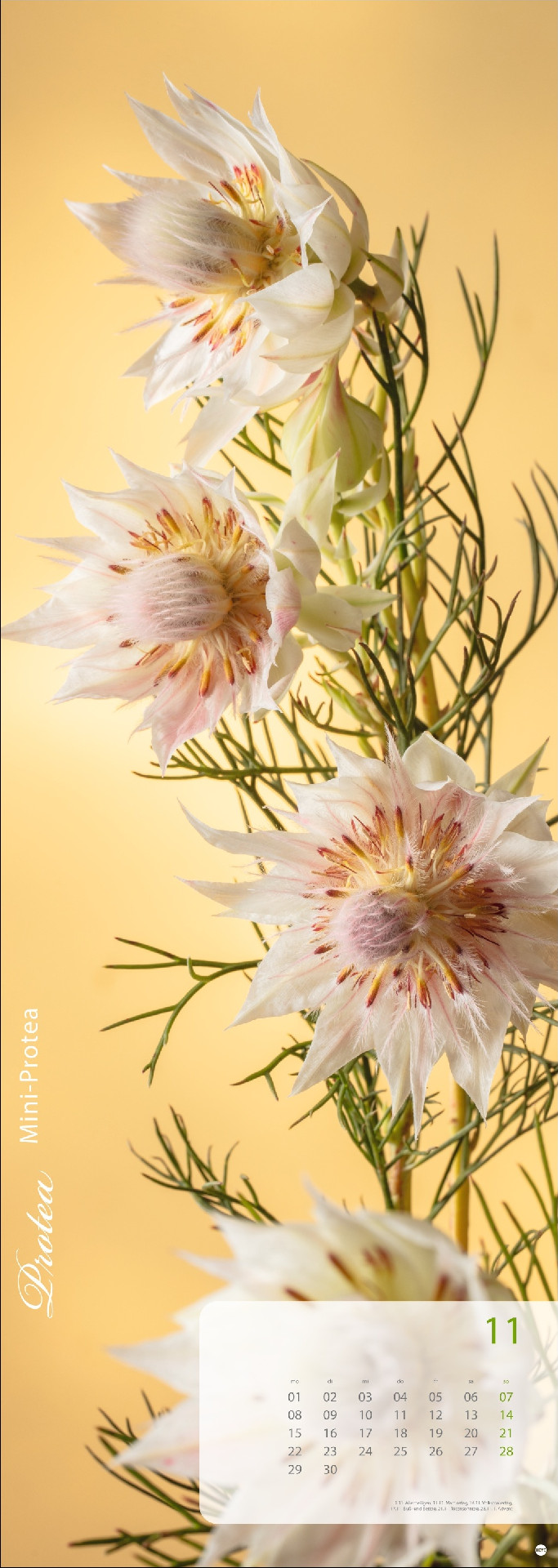 Magic Flowers Vertical Kalender 2027
