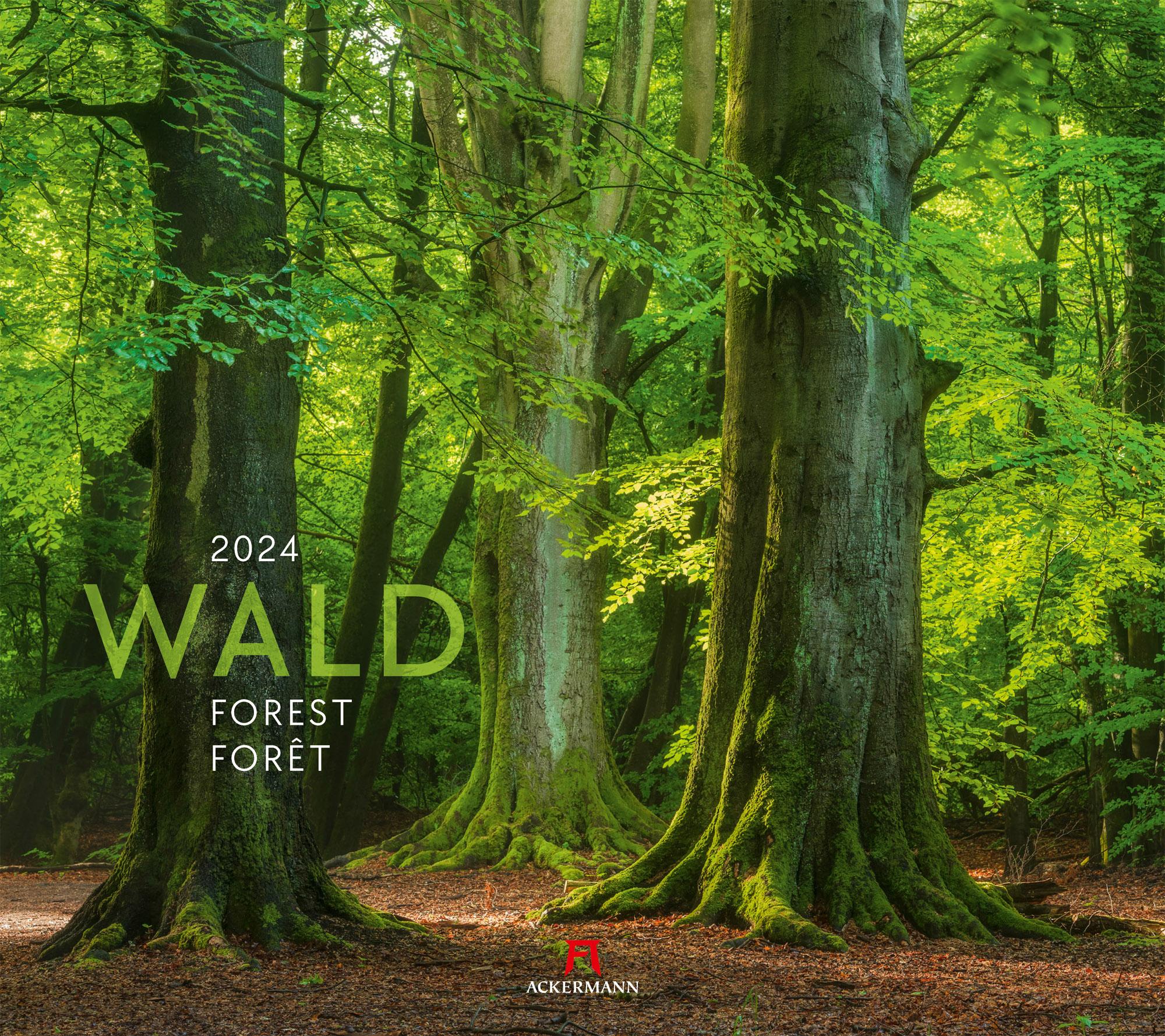 Wald Kalender 2024 Maße (B/H): 54 x 48 cm, Fotokalender, Dt/engl/frz