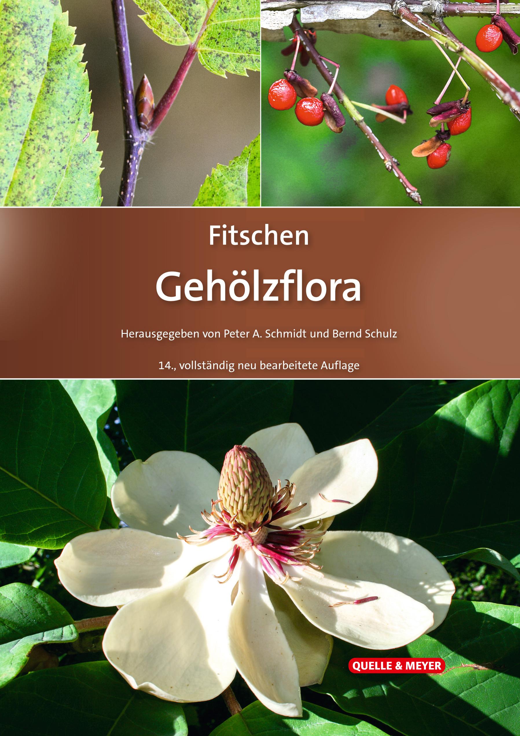 Fitschen - Gehölzflora Ein Buch zum Bestimmen der in Mitteleuropa wild wachsenden und angepflanzten Bäume und Sträucher