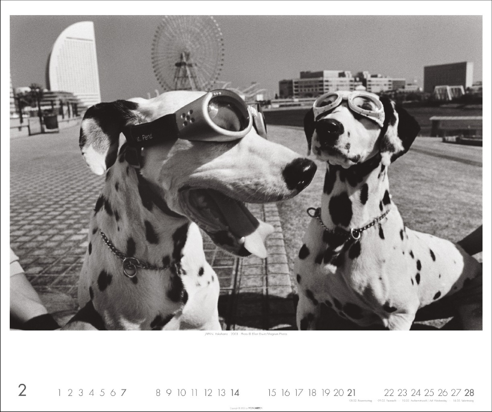 Magnum Photos - Elliott Erwitt Kalender 2027