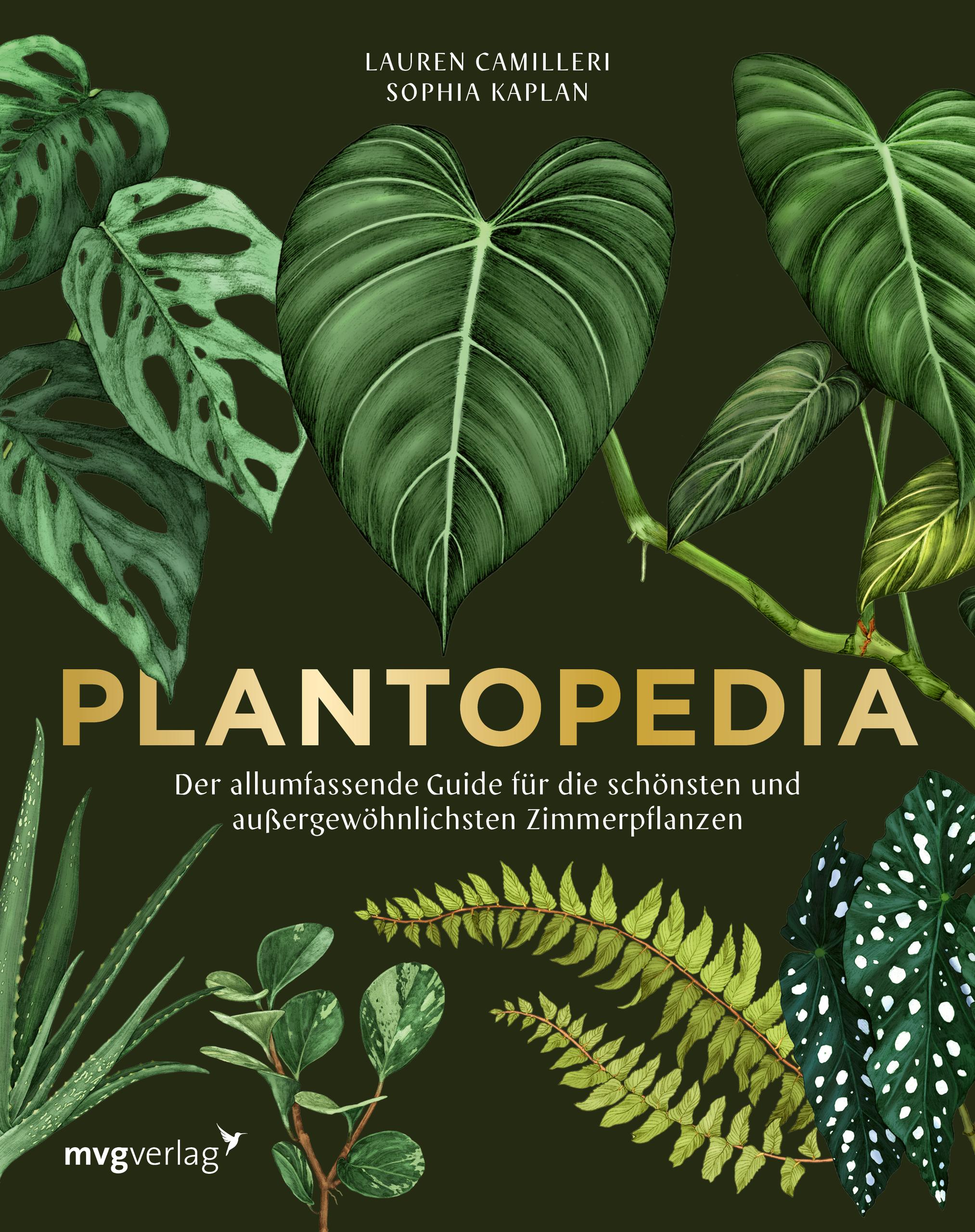 Plantopedia Der allumfassende Guide für die schönsten und außergewöhnlichsten Zimmerpflanzen. Alles, was du zum Pflegen und Lieben deiner Pflanzen wissen musst