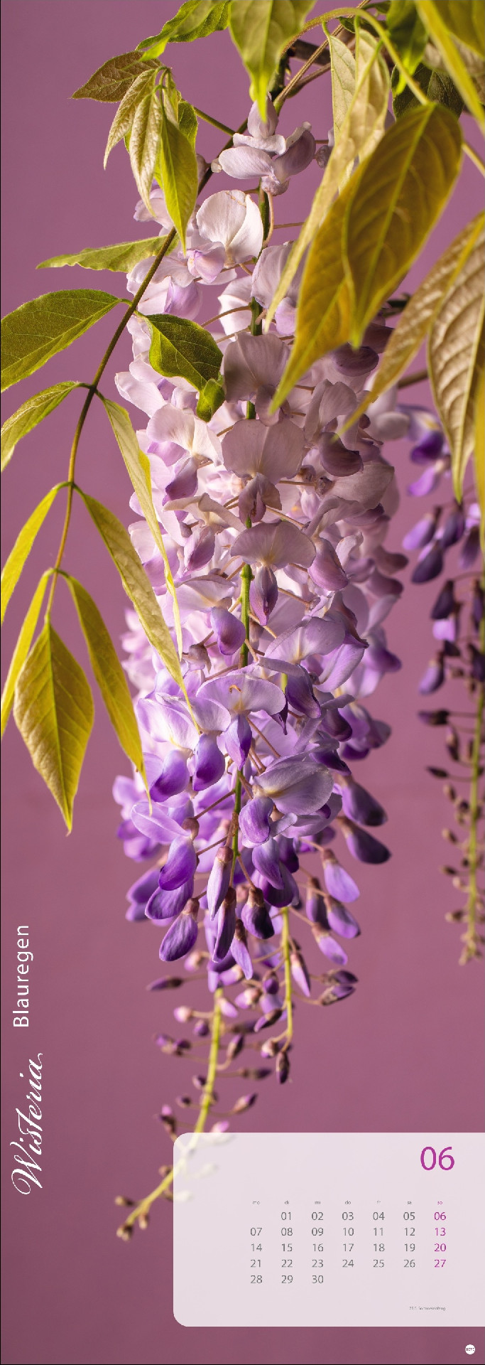 Magic Flowers Vertical Kalender 2027