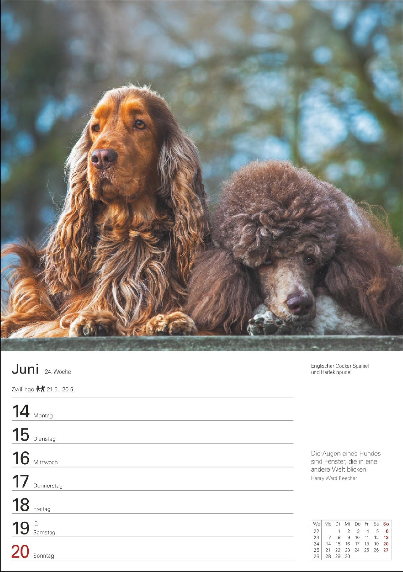 Hunde Wochenkalender 2027