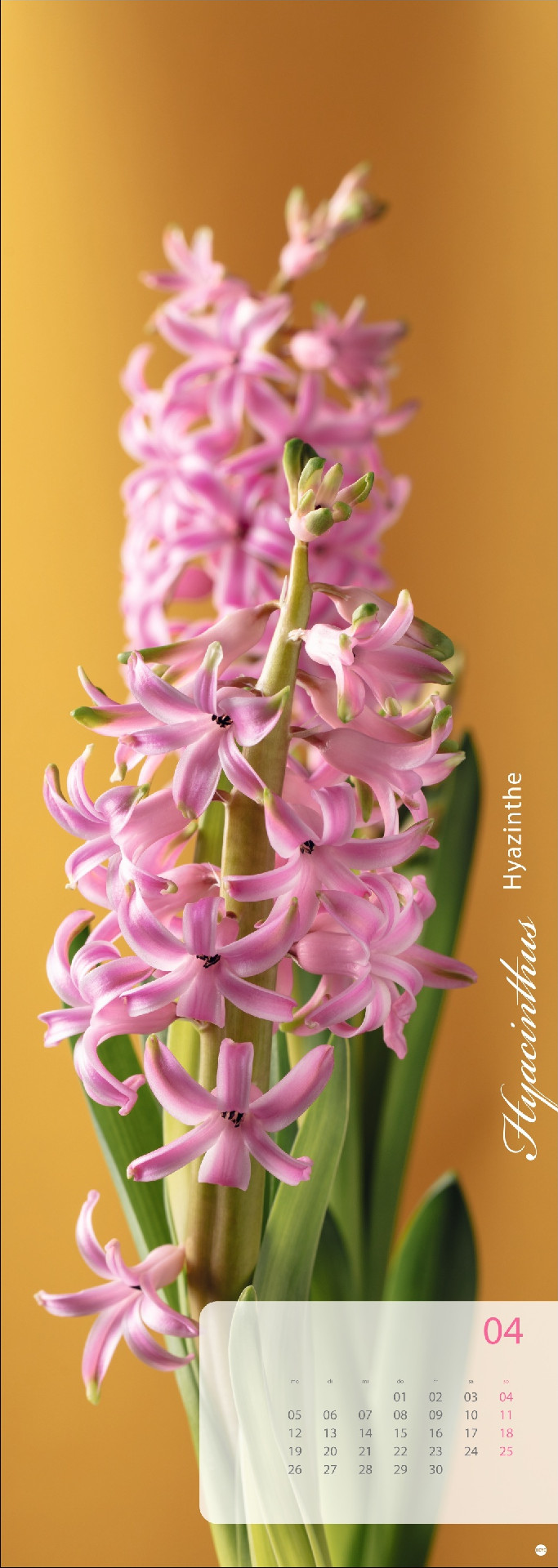 Magic Flowers Vertical Kalender 2027