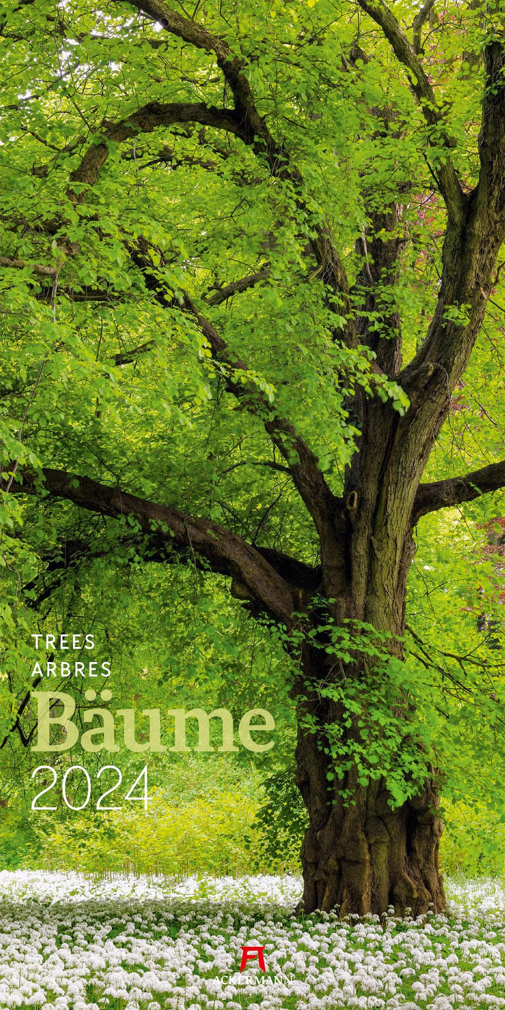 Bäume Kalender 2024 Maße (B/H): 33 x 66 cm, Fotokalender, Dt/engl/frz