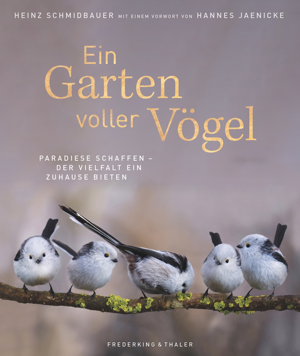 Bildband | Ein Garten voller Vögel