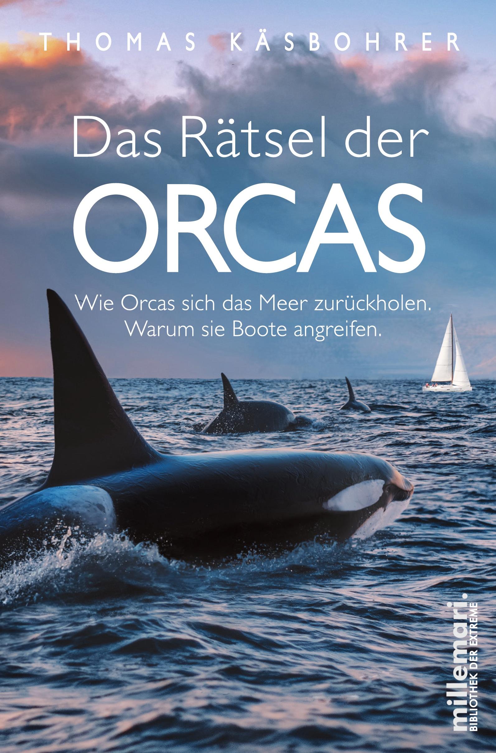 Das Rätsel der Orcas Wie Orcas sich das Meer zurückholen. Warum sie Boote angreifen.